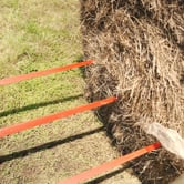 Heavy-Duty Hay Frame with Hay Spears | 2 / Frame + 39" Spear
