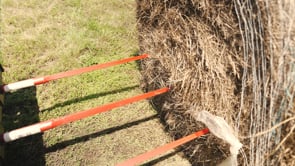 Heavy-Duty Hay Frame with Hay Spears | 2 / Frame + 43" Spear