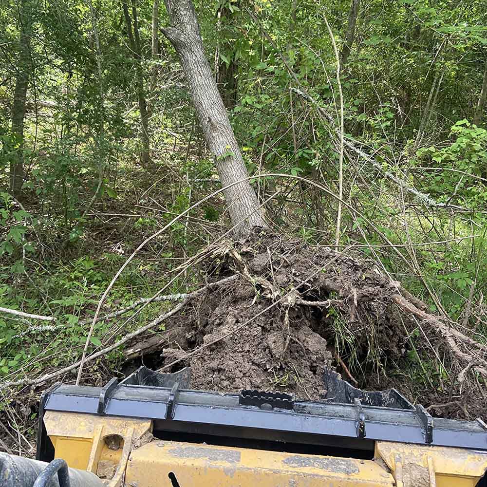 Extreme HD Stump Bucket Tree Scoop - view 3