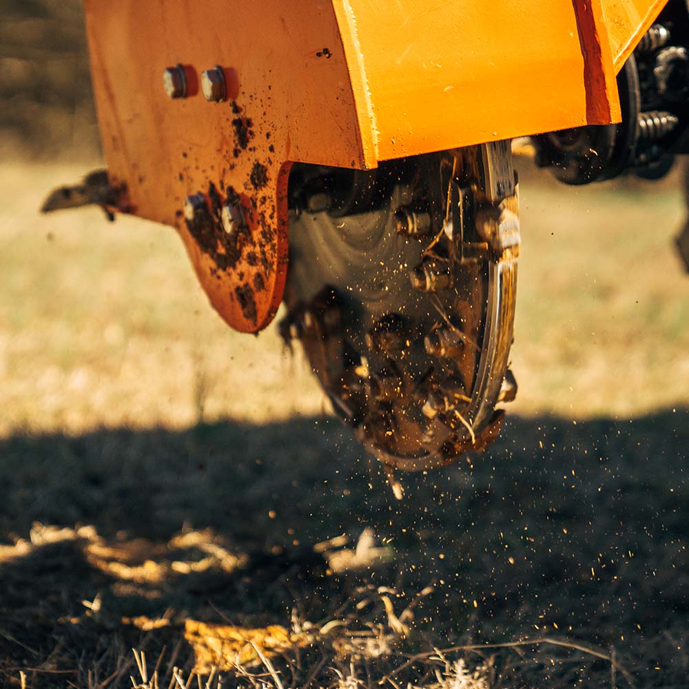 Standard Series PTO Stump Grinder