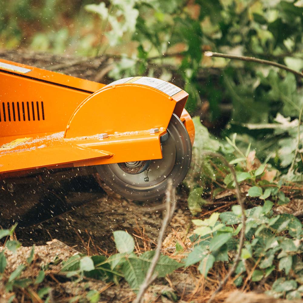 Walk-Behind 13.5 HP Stump Grinder