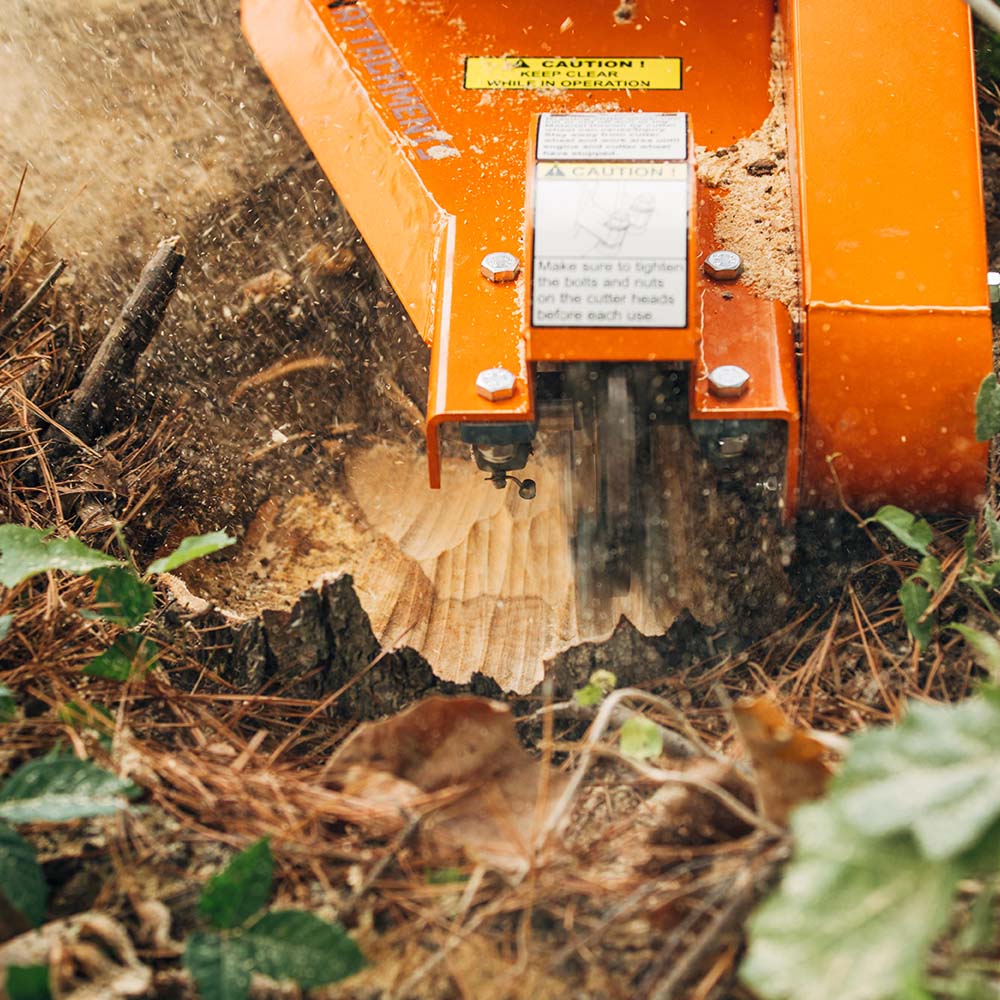 Walk-Behind 13.5 HP Stump Grinder - view 5