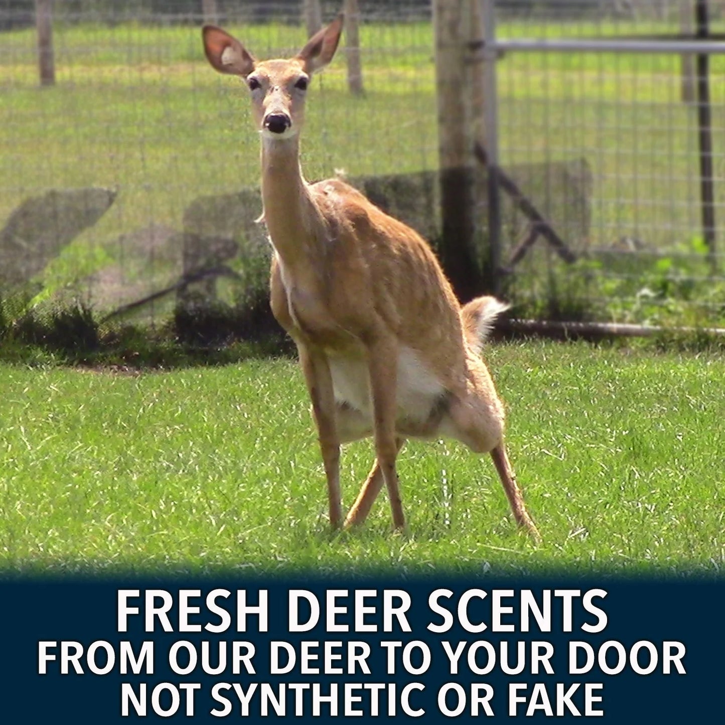 Outdoor Hunting Lab Early Season Pro Packs | Max - view 36