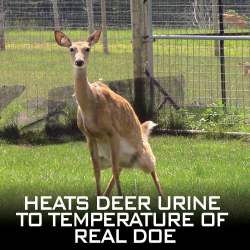 Outdoor Hunting Lab Hot Wick - view 2