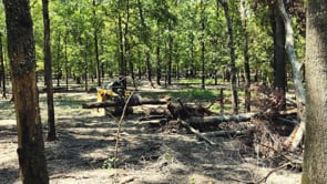 Extreme Root Grapple Rake Attachments | 84"