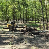 Extreme Root Grapple Rake Attachments | 60"